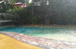 rain in the pool naturebels