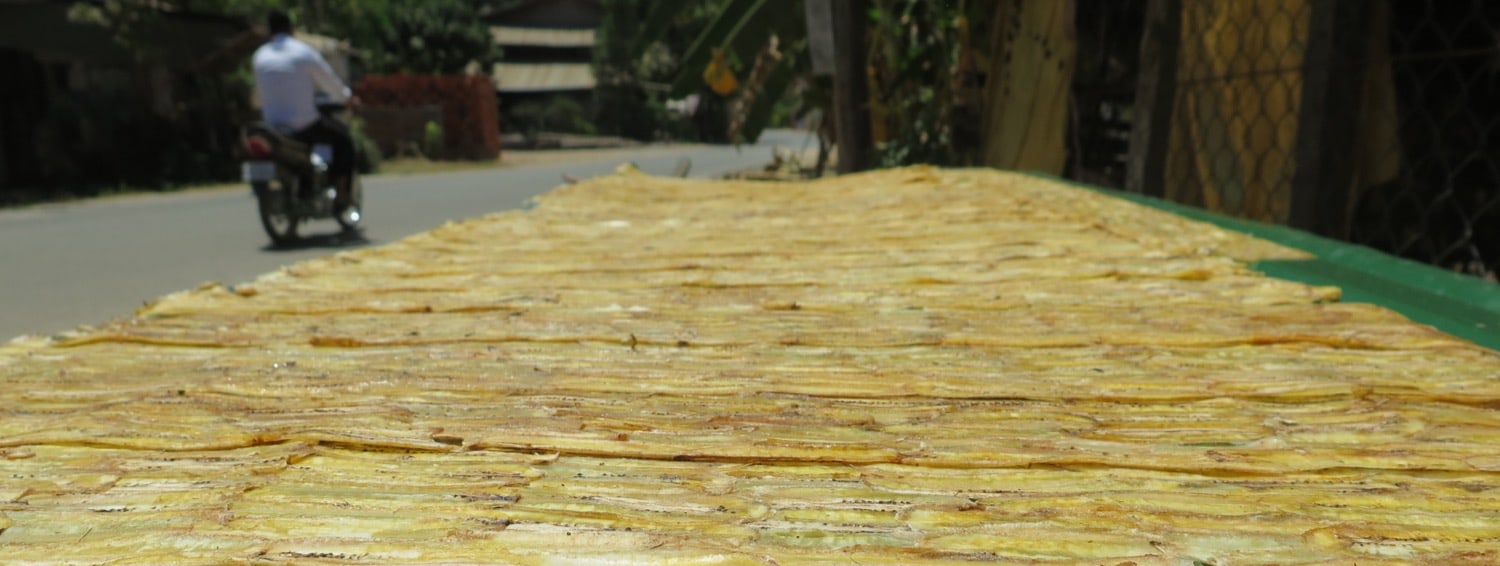 dried bananas battambang naturebels